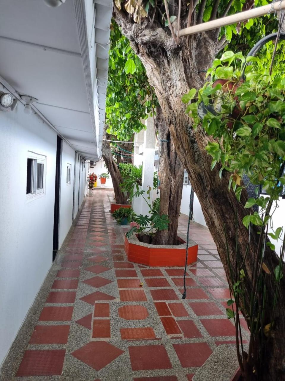Hotel Mayte 丰塞卡 外观 照片